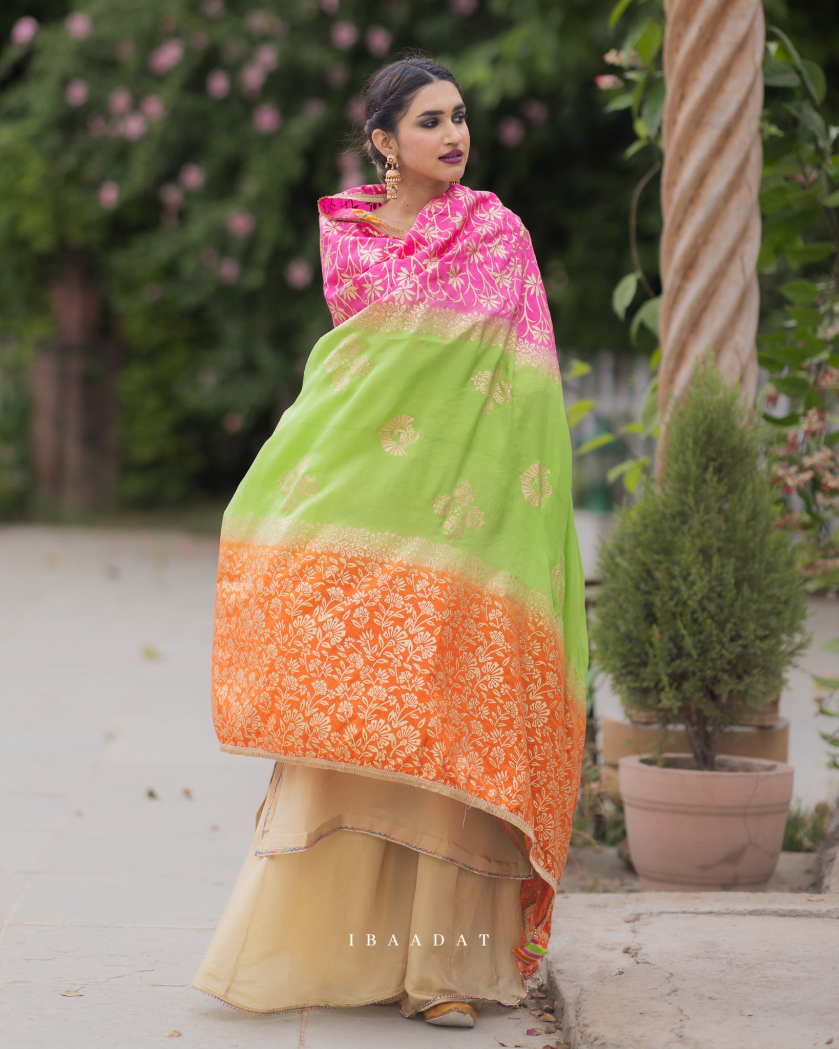 Silk and organza Punjabi salwar suit in gold